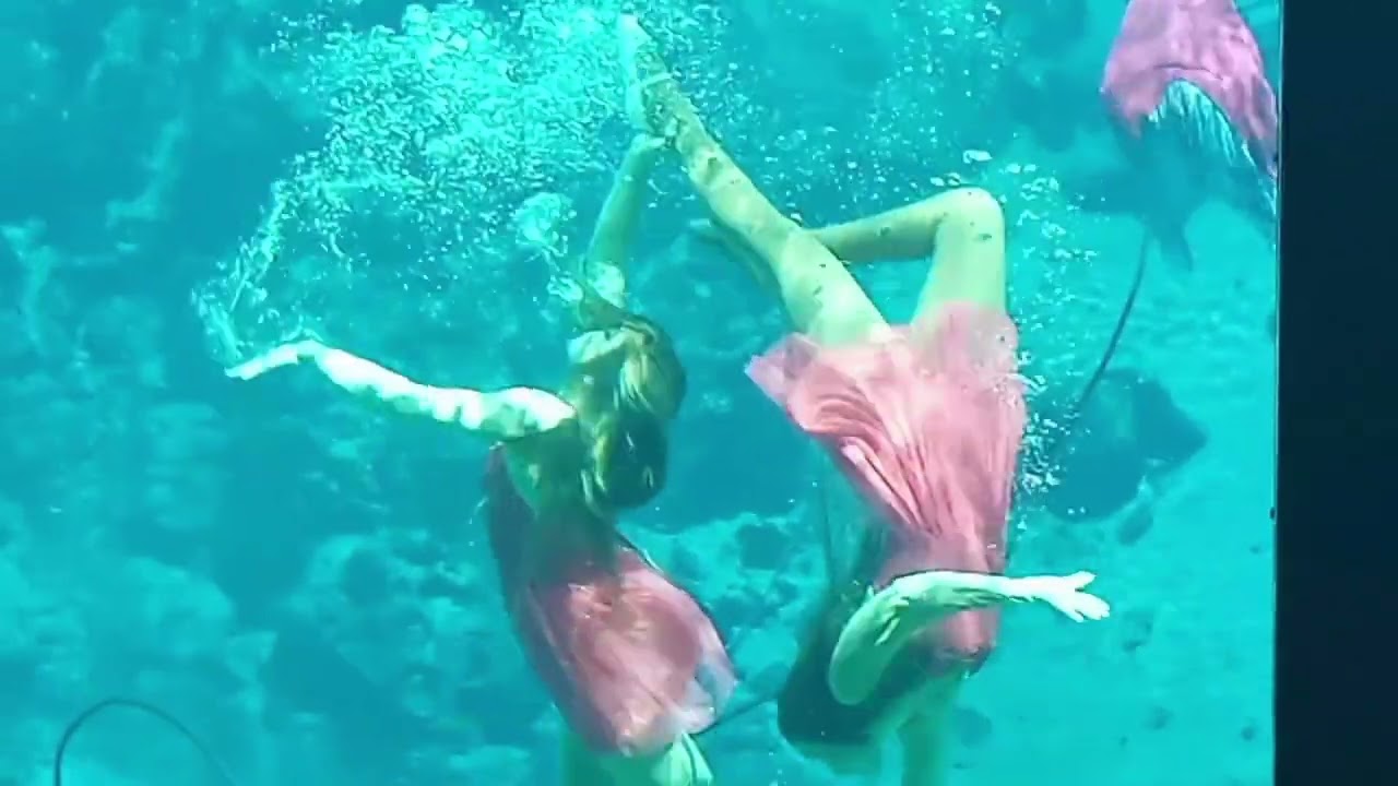 Weeki Wachee Mermaid Show - Brand New - Ben Rector