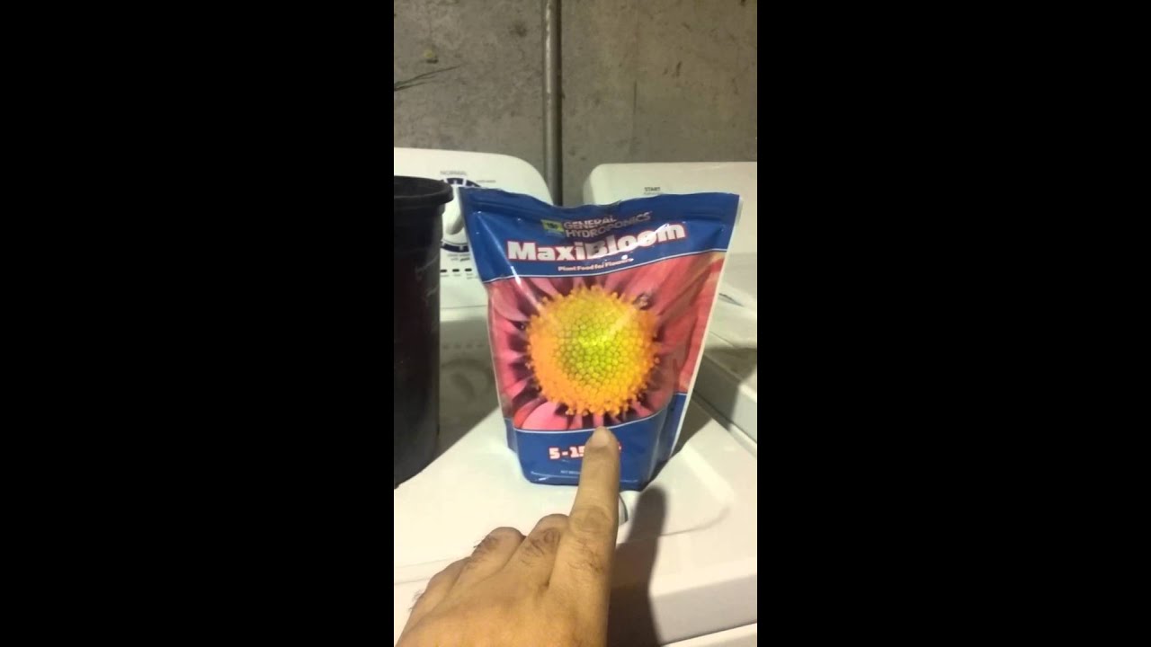 Grow Big Maxi Bloom then Cool Bloom or Bud Blaster?
