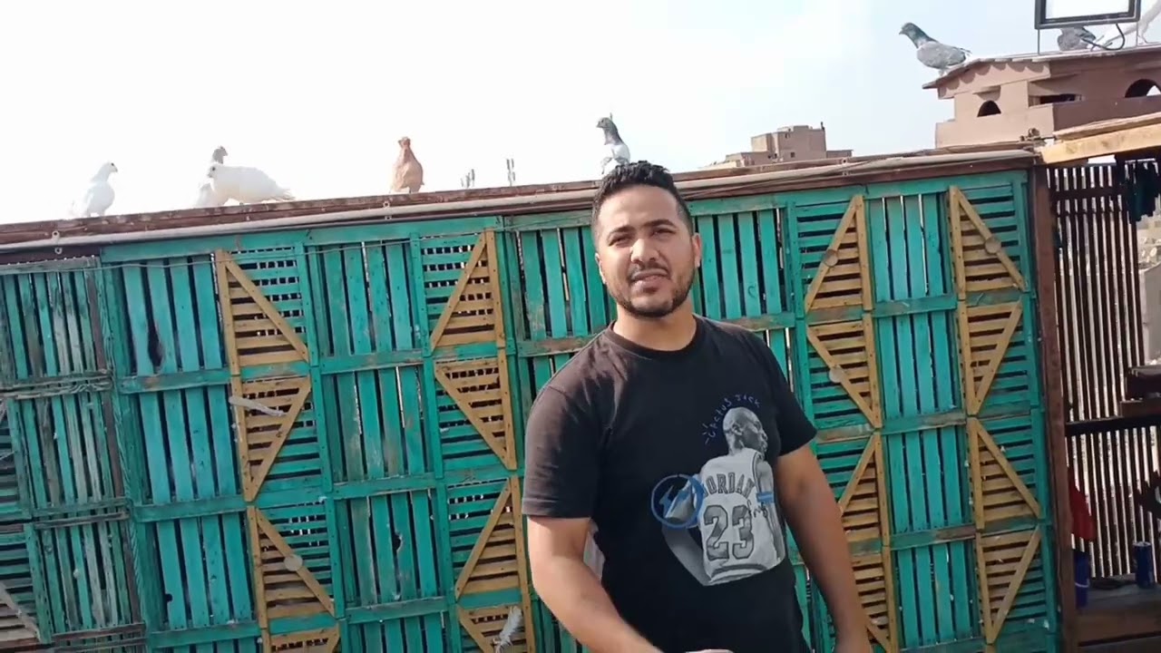 أصول الغيه_باب واحد_ وتربية الزغاليل علي الطريقة القديمه_تربيه الدشار علي المكبه من غية#ميدو_الدكتور