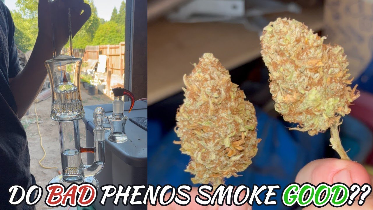 SMOKIN' SOUR CRACK 