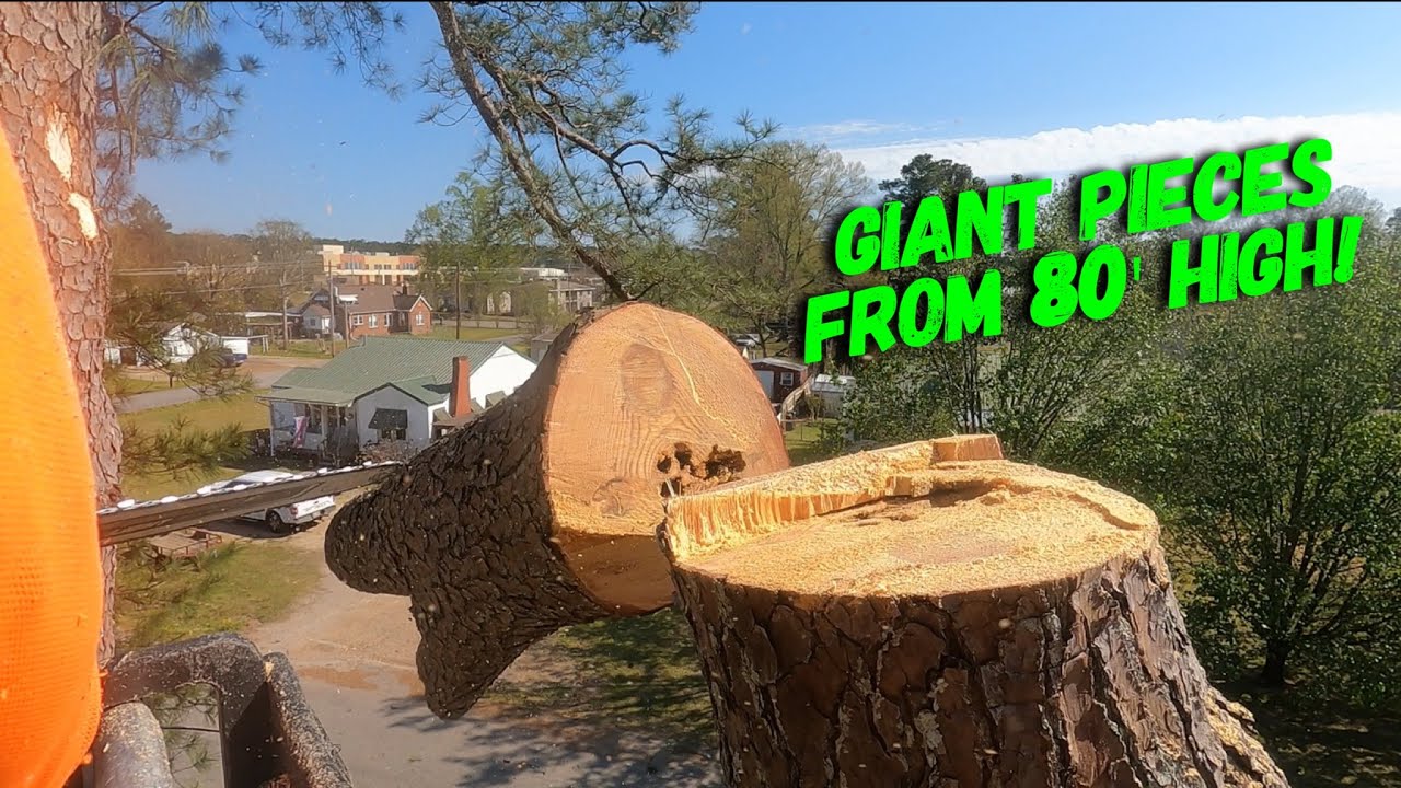 More deadly trees removed from tornado devastated Amory Mississippi
