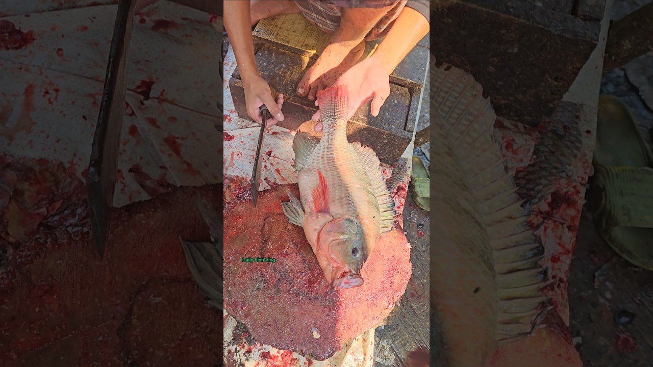 Street Style Tilapia Fish Cutting | Amazing Fish Cutting Skills 😱 #shorts