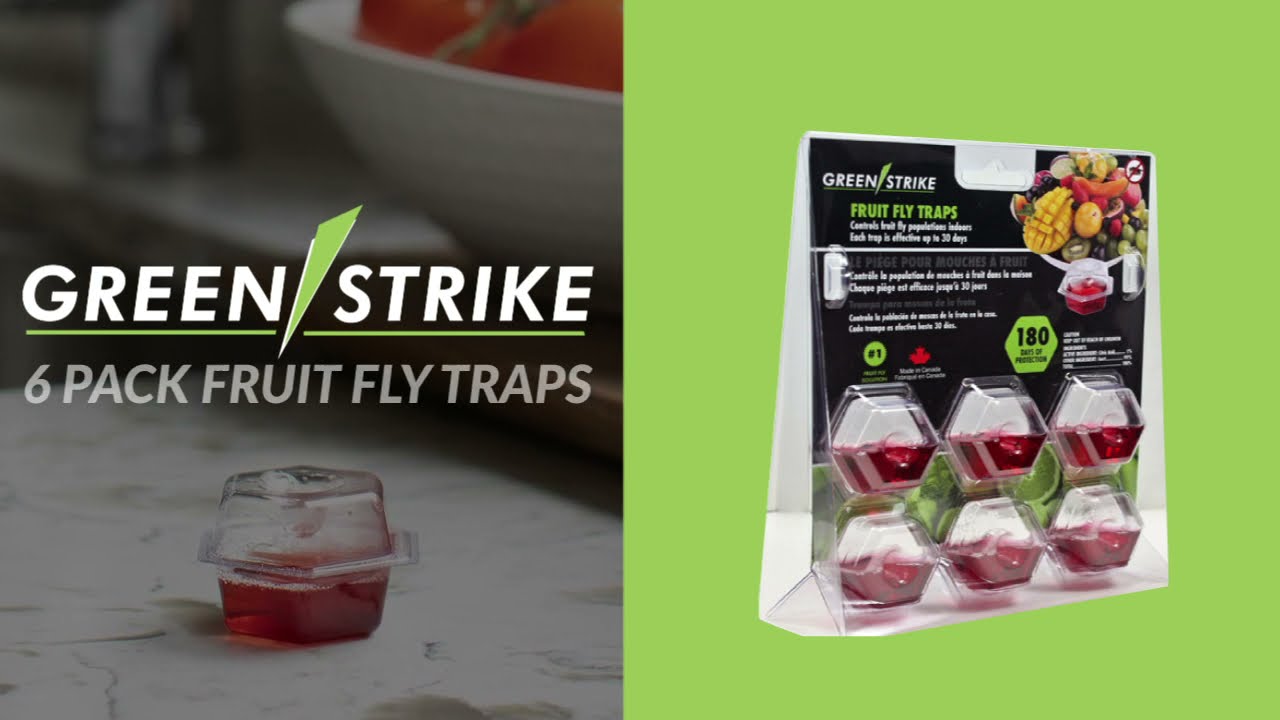 Green Strike Fruit Fly Traps