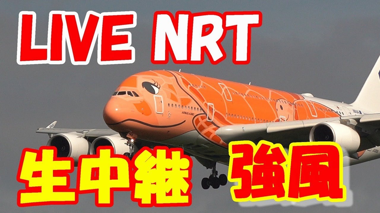 🔴LIVE at NARITA International Airport Plane Spotting　2026.03.14 成田空港ライブカメラ 成田空港　NRT/RJAA