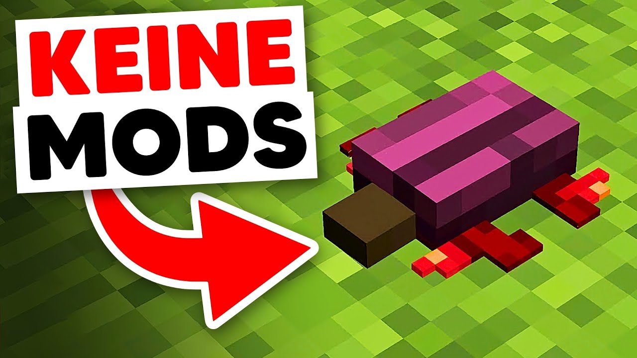 23 DINGE in Minecraft die du noch NICHT BEMERKT hast!