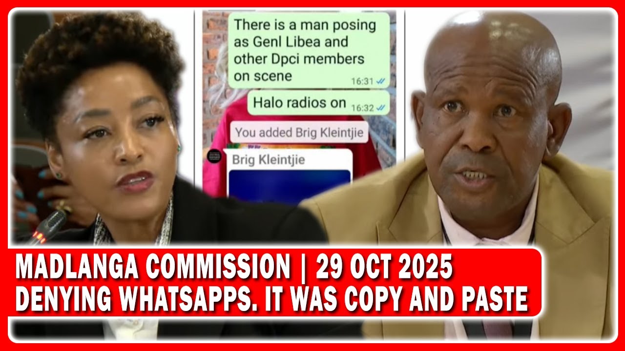 Brigadier Mokoena Evidence To Madlanga Commission On Day Of Katiso Molefe Arrest 