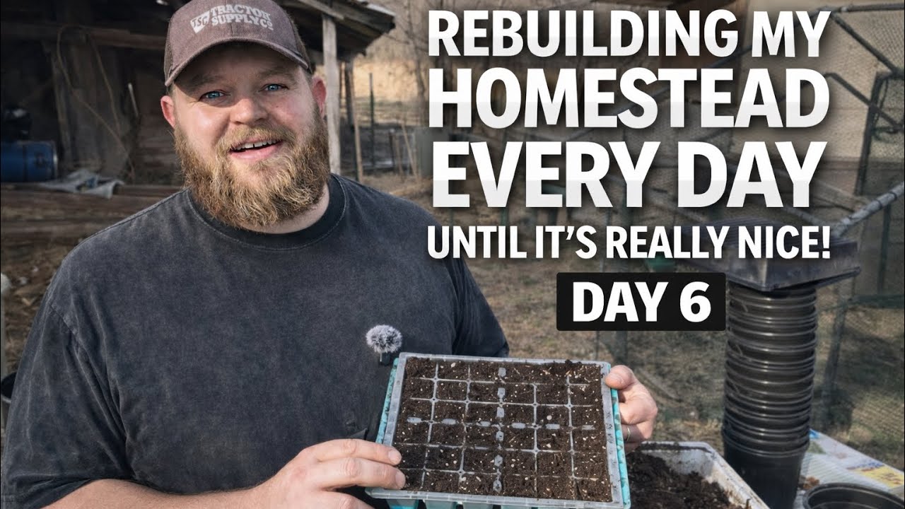 Rebuilding My Homestead – Day 6 | Starting the Garden 🌱