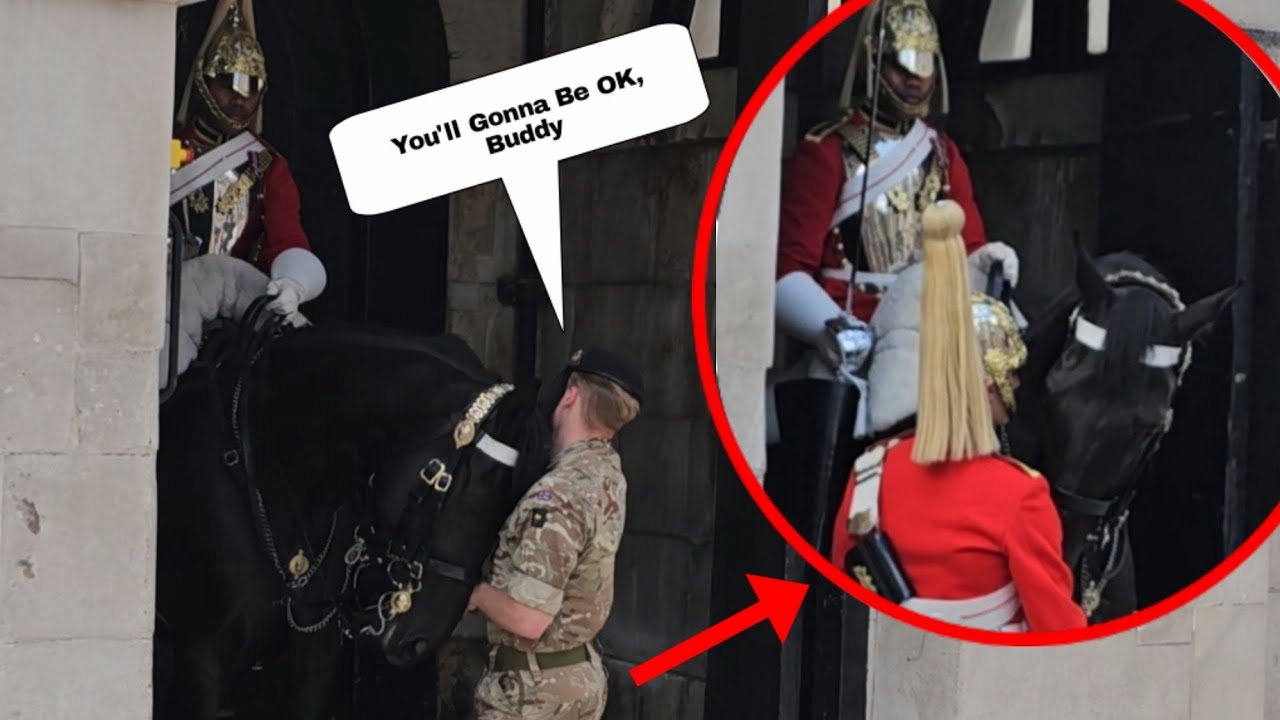 What's Going On? Watch This UNCOMFORTABLE Horse