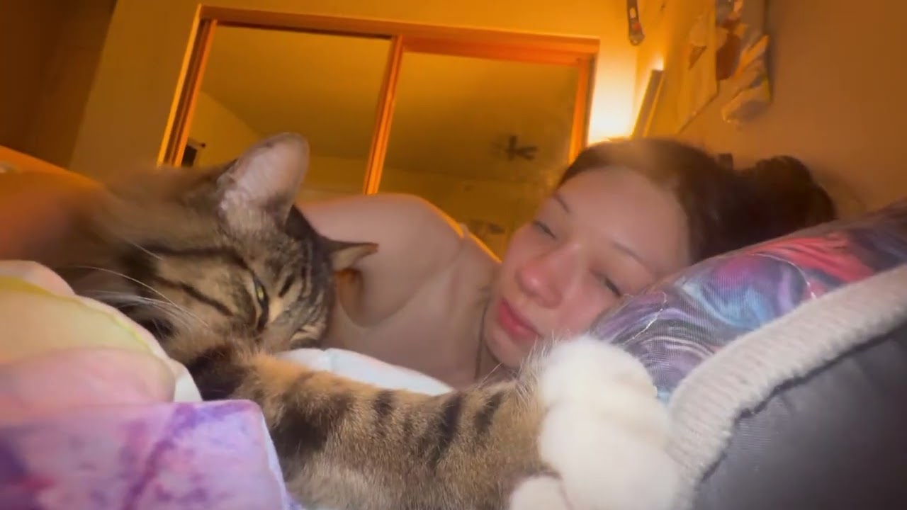 Sleepy Girl & Her Tiny Tiger | Cozy Nap Vibes with My Snuggly Tabby