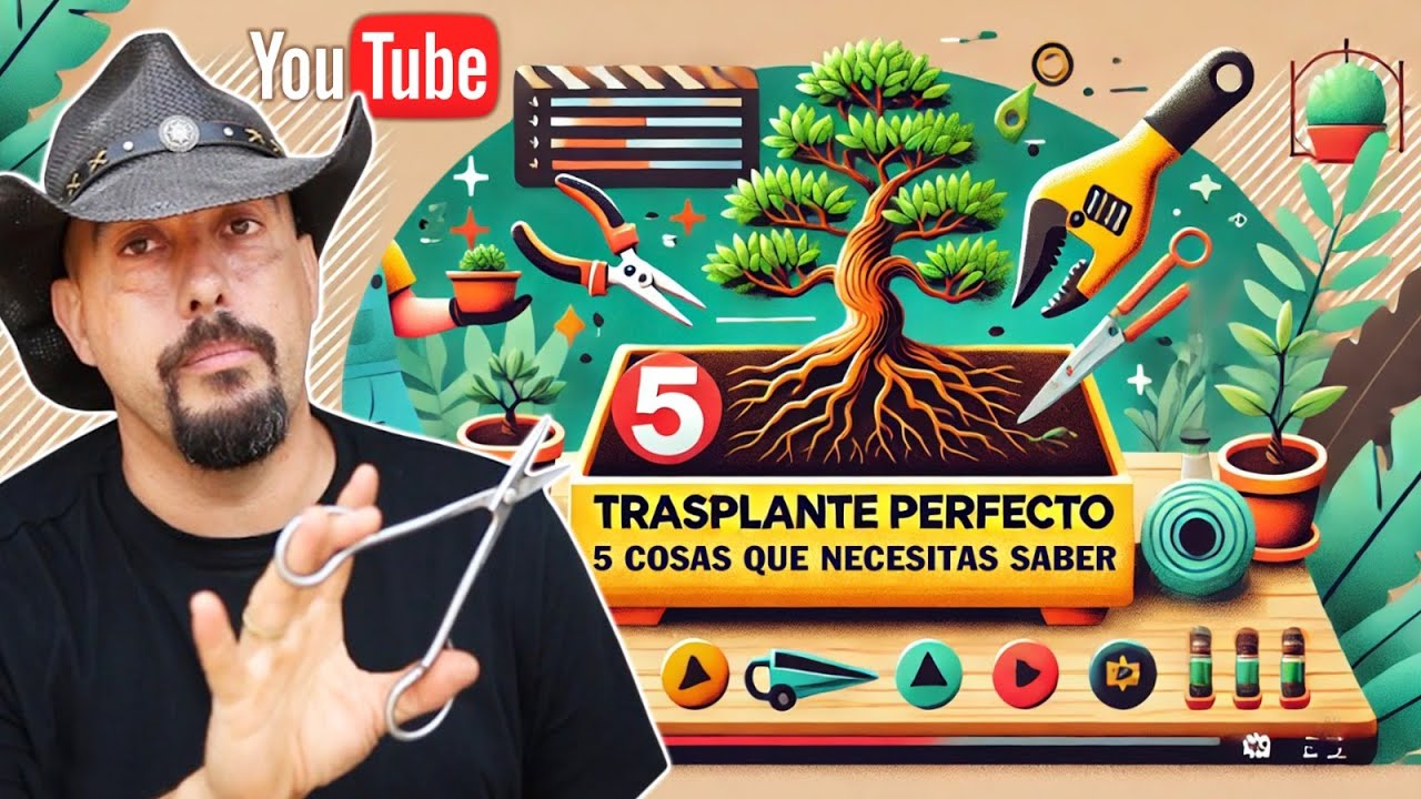 Trasplantar Bonsai: 5 Cosas que NECESITAS saber