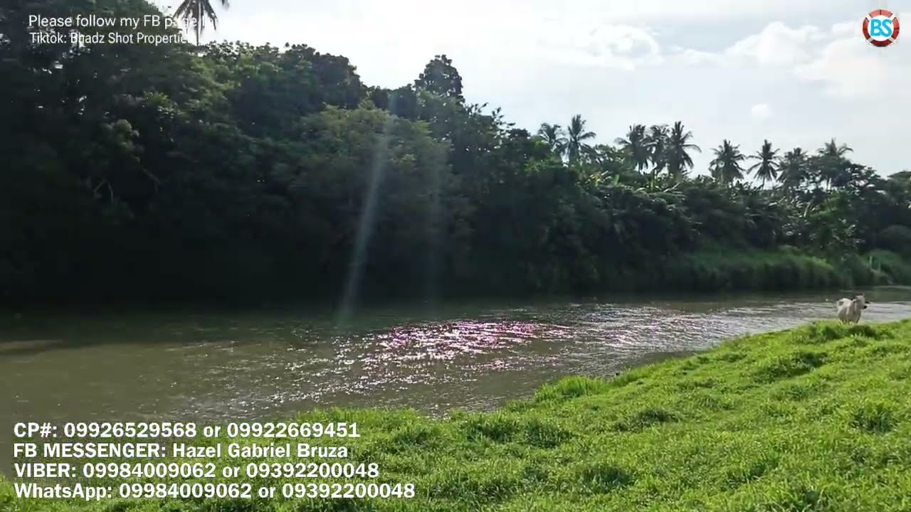 (P# 822) 1.2 hectares Farm lot na may katabing ilog sa Pagsanjan, Laguna  for sale