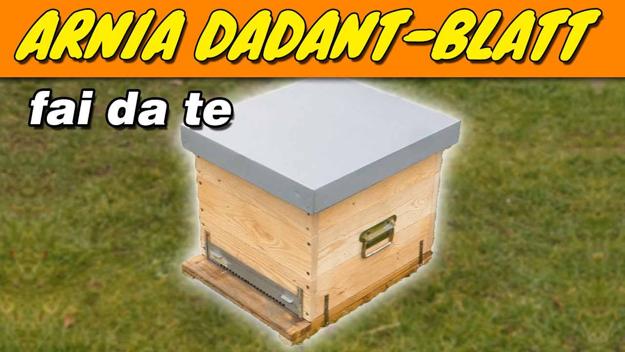 ARNIA FAI DA TE con assi di recupero | DADANT-BLATT |