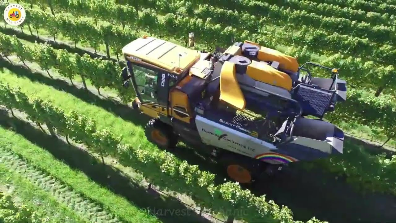 🚜Pellenc Optimum 890 - The Secret to Efficient & Eco-Friendly Grape Harvesting 🌿🍇