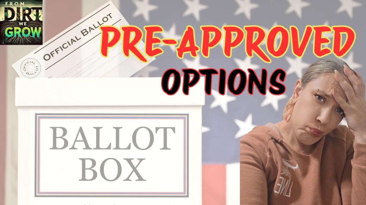 They Let You Vote - But They Choose the Options