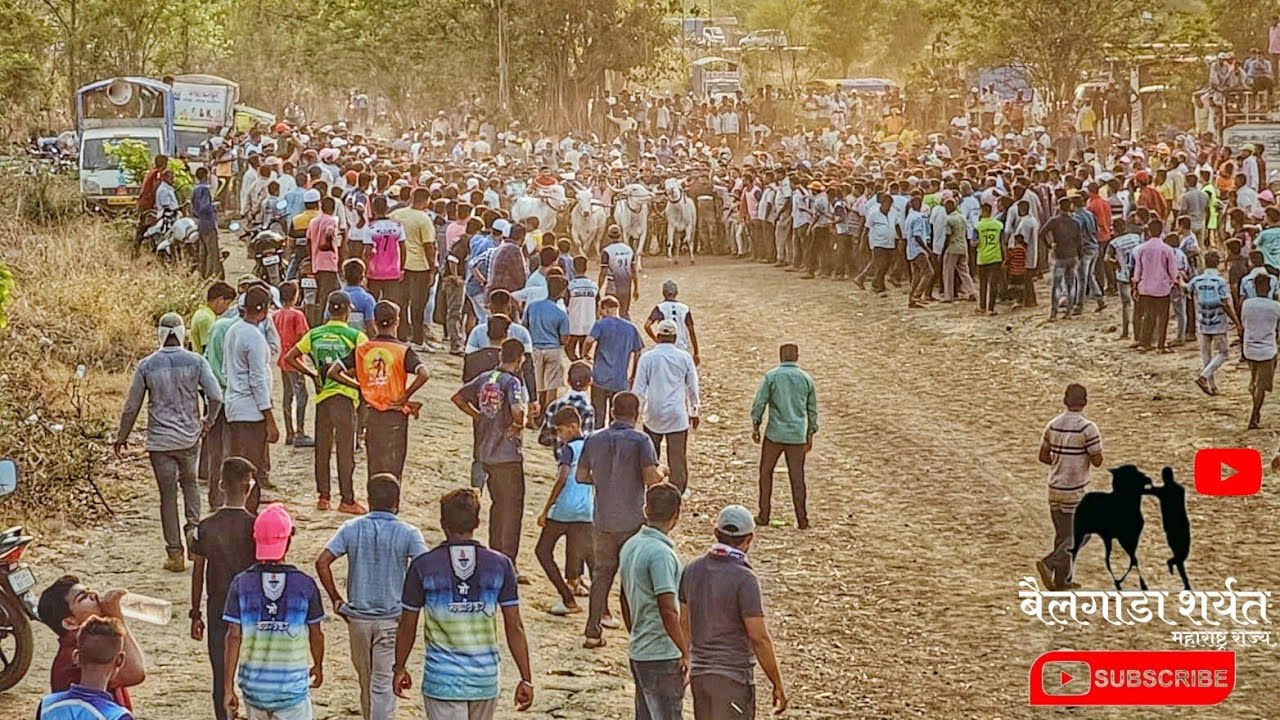 बैलगाडा शर्यत माणगाव ( मोठा गट)