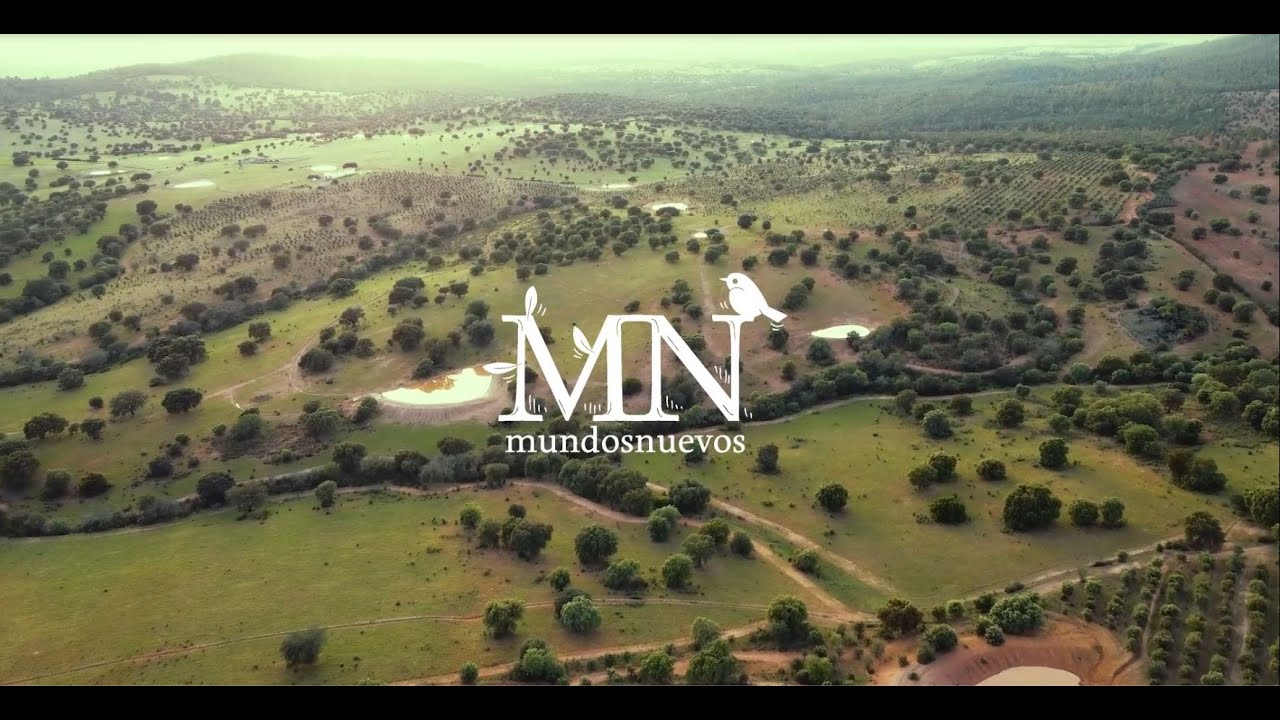 Mundos Nuevos, diseño hidrológico en línea clave v2