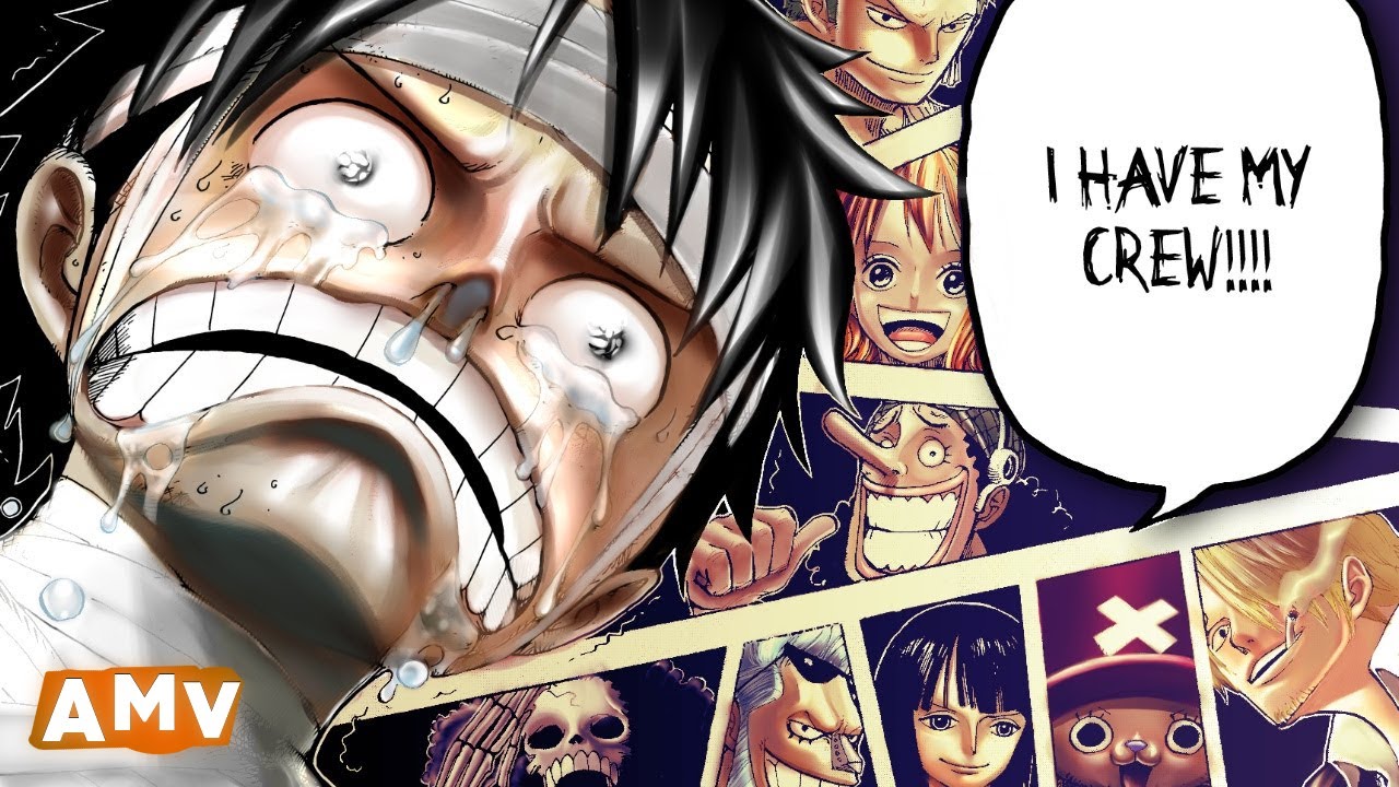 One Piece AMV - Sharing The Dream 夢を共有する