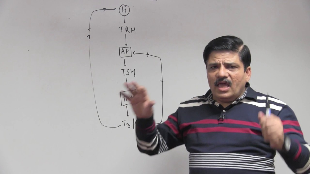 Hormones General Consideration - Chemical Coordination & Integration - Dr. NK Sharma NEET