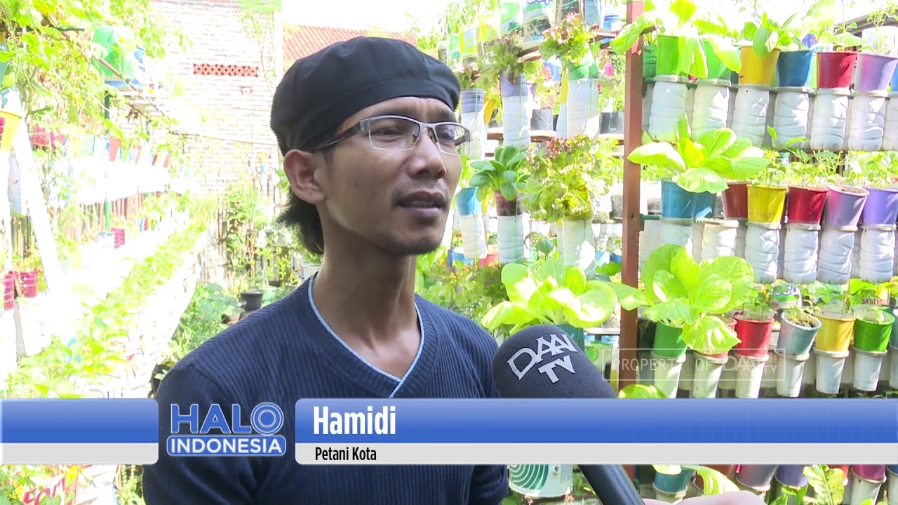 Bertani di Rumah Sendiri