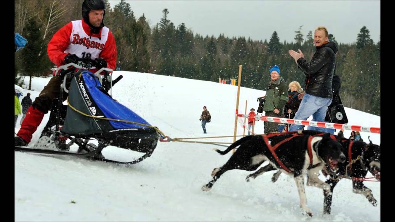 Schlittenhunderennen Todtmoos 2016