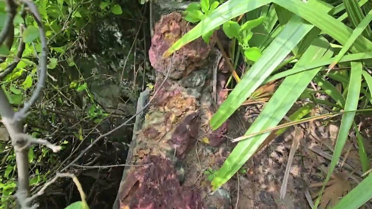 🇱🇰முல்லைத்தீவில் புலிகளின் ஆயுதக்கப்பல் வந்திறங்கும் இரகசிய இடம் 