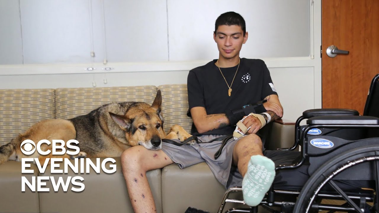 Soldier and his military dog travel the road to recovery together