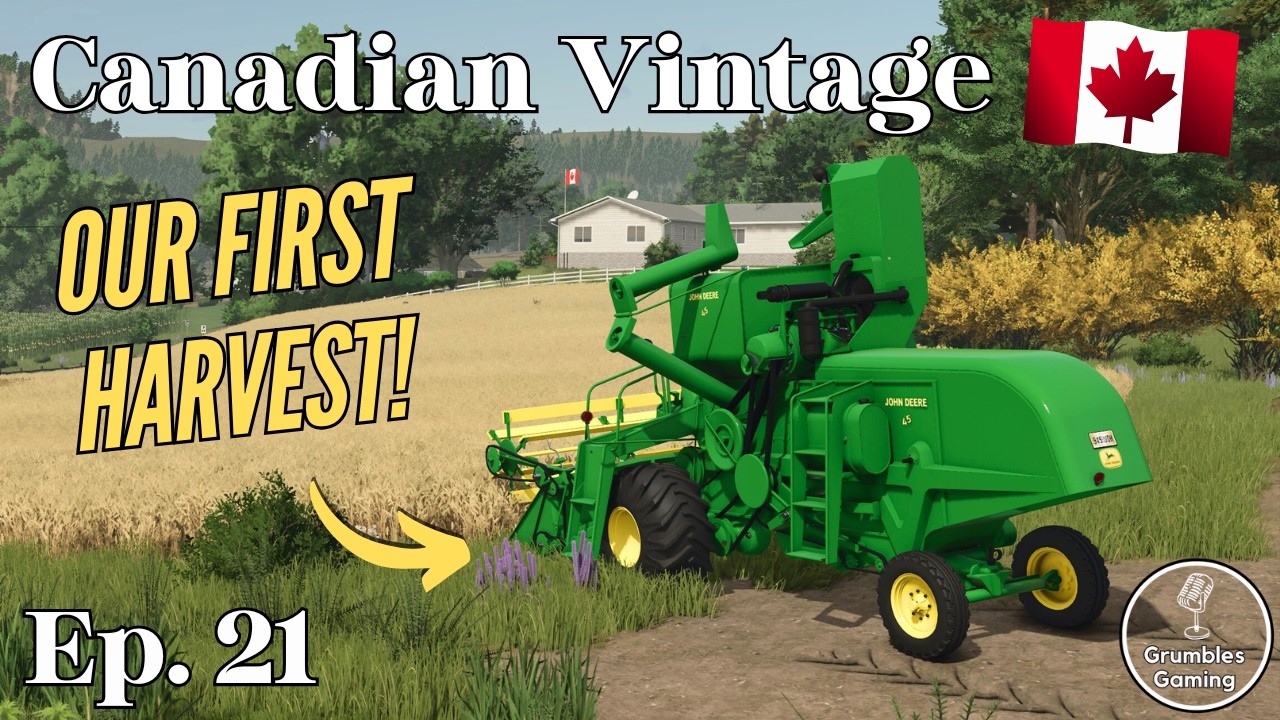 TRITICALE FOR THE CHICKENS | Canadian Vintage | FS 25 | Episode 21