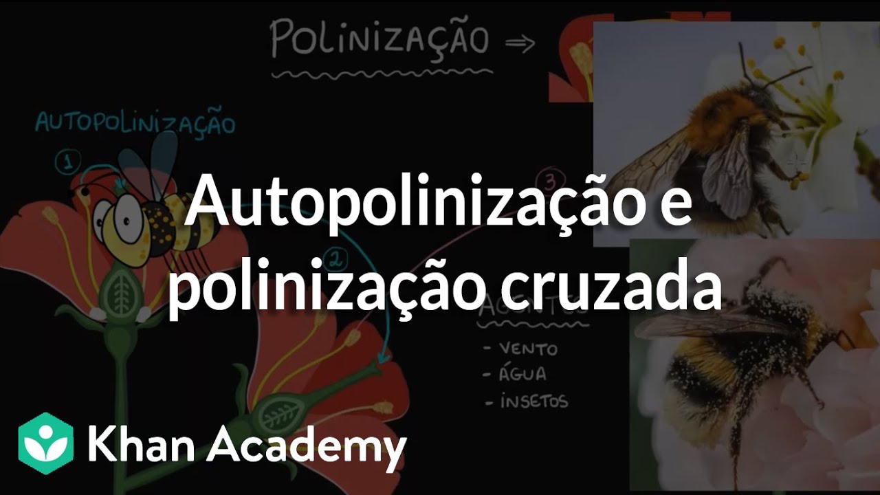 Autopolinização e polinização cruzada