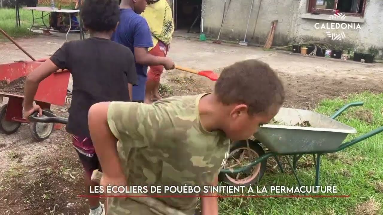 Les écoliers de Pouébo s'initient à la permaculture