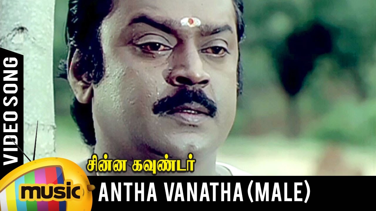 Antha Vanatha Pola Video Song | Male Version | Chinna Gounder Tamil Movie | Vijayakanth | Ilayaraja