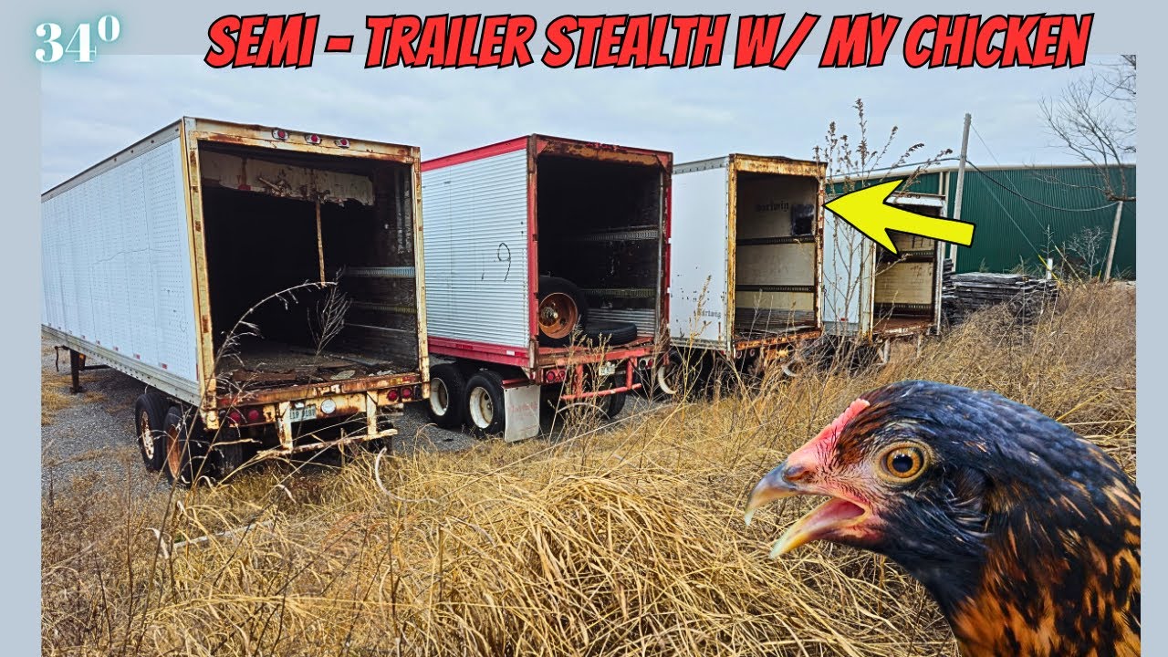 34 Degree Abandoned Semi Truck Trailer w/ my chicken Paula / Stealth Camp #45