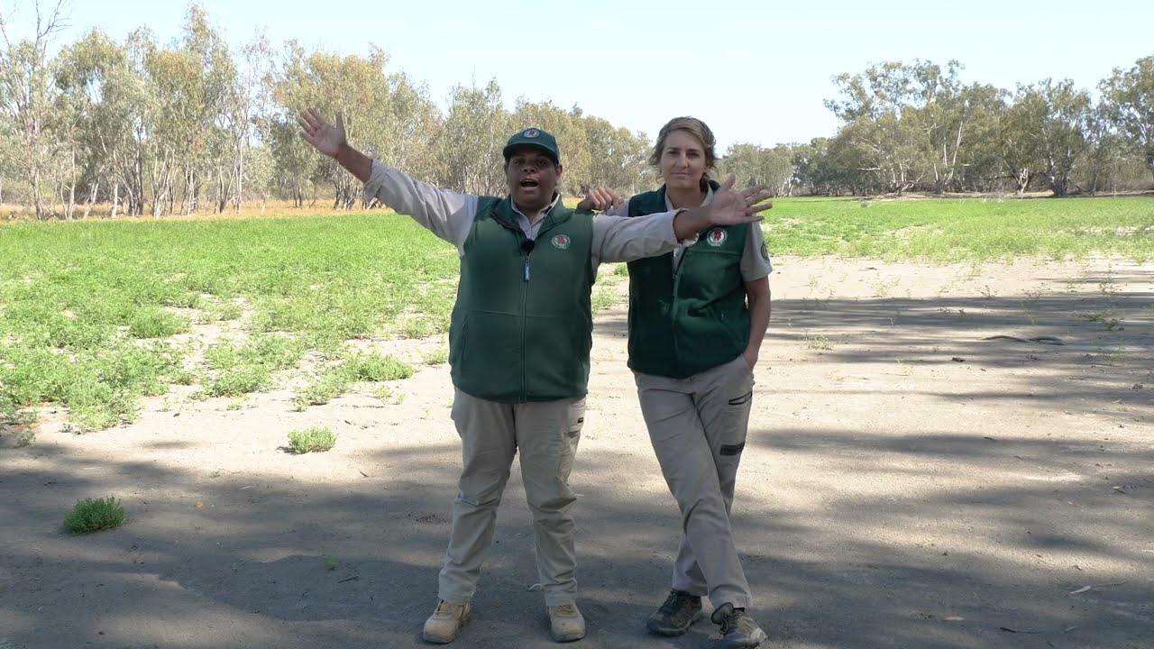 Fascinating Floodplains - Katarapko River Detectives Trail