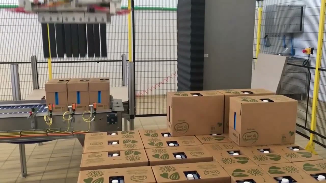Winner 600 robotpalletering af kasser