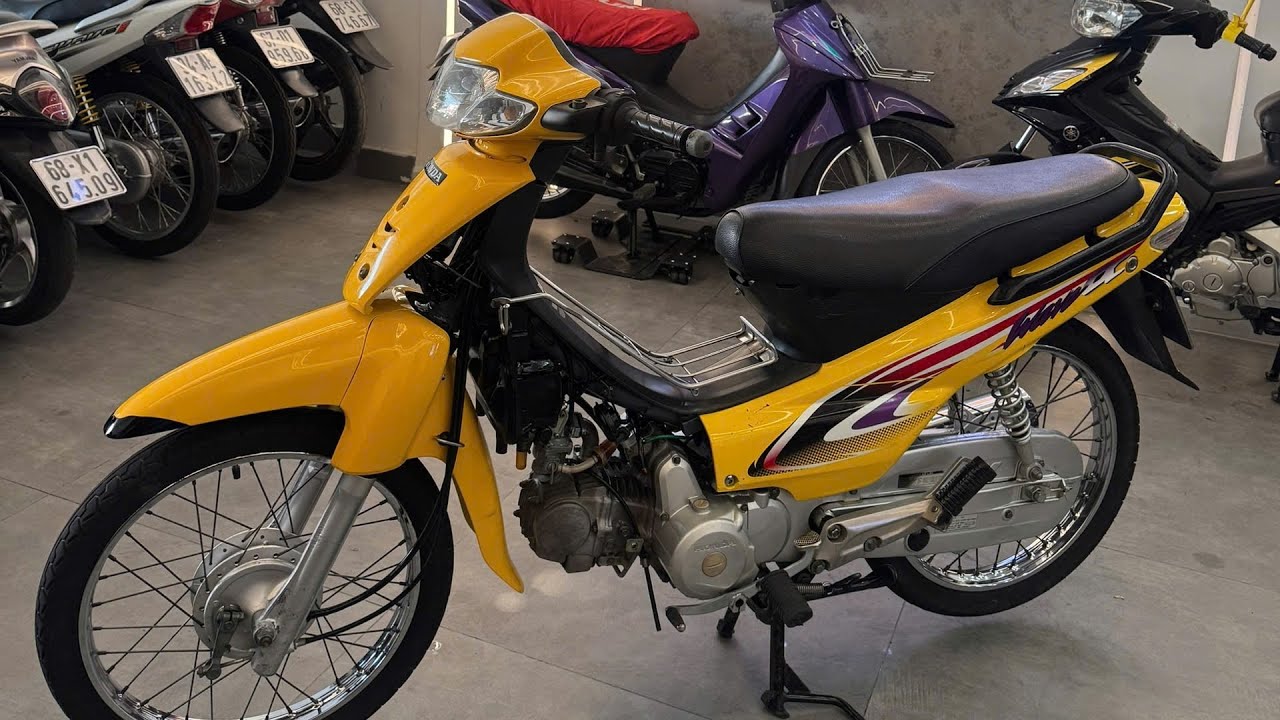 Alpha 2004 maii vàng chơi Tết 🧧 ae hihi