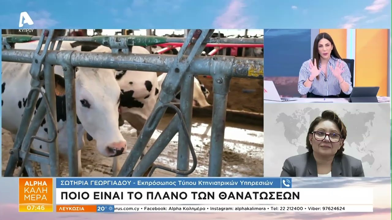 Ποιο είναι το πλάνο των θανατώσεων από τις Κτηνιατρικές Υπηρεσίες | AlphaNews Live