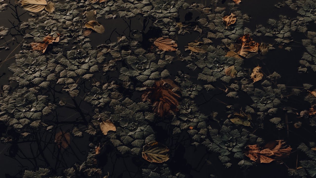 The First Rain | 2026 | 4k Cinematic Video 