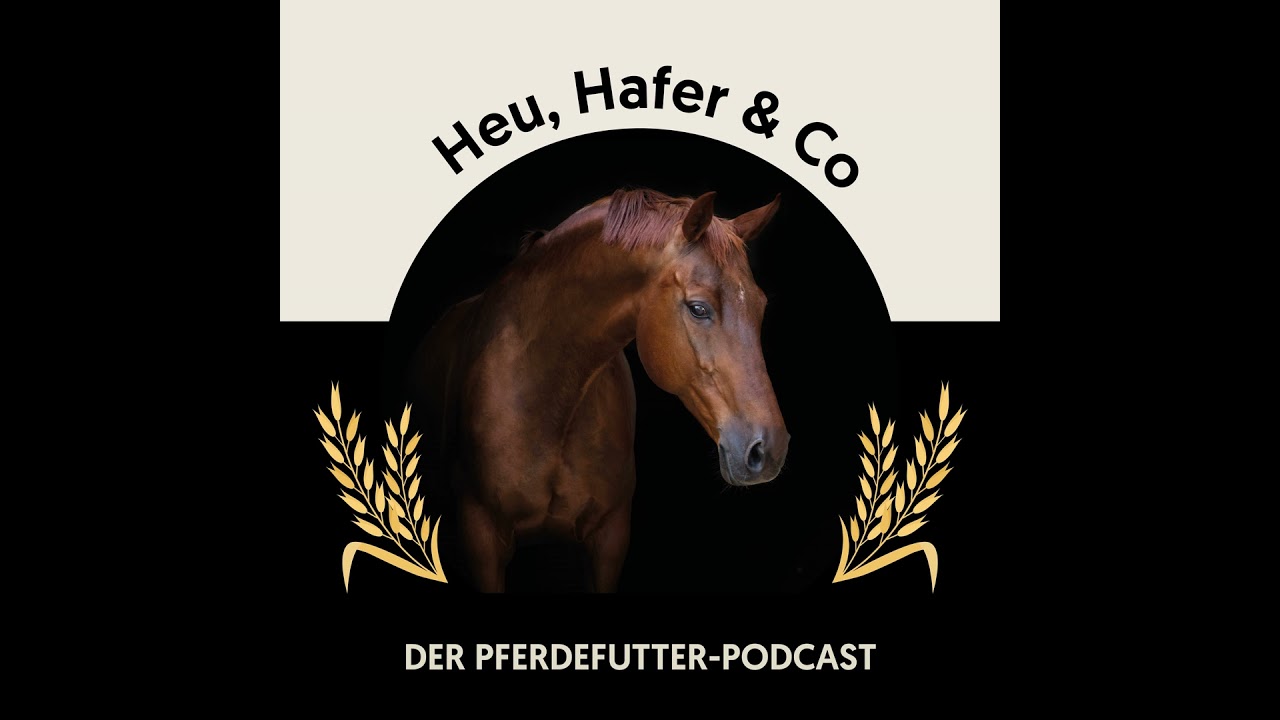 Episode 23 - Leinsamen: Mythen, Fakten, praktische Tipps
