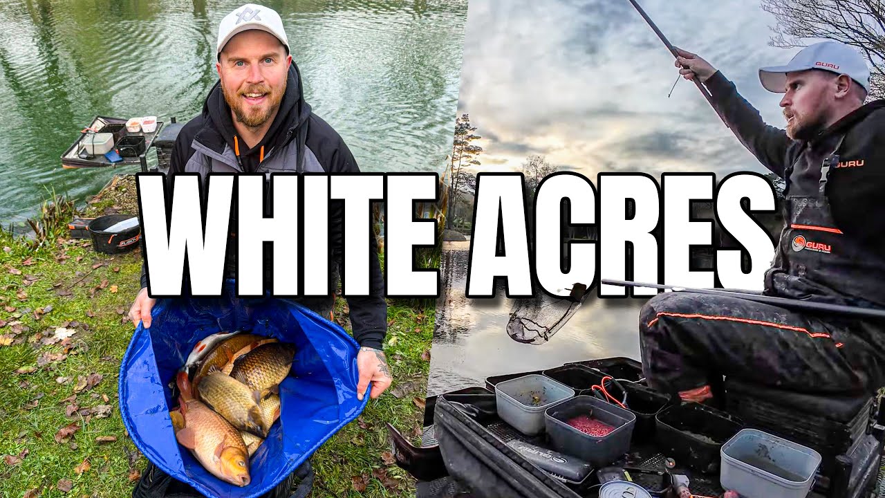 A FULL White Acres festival VLOG