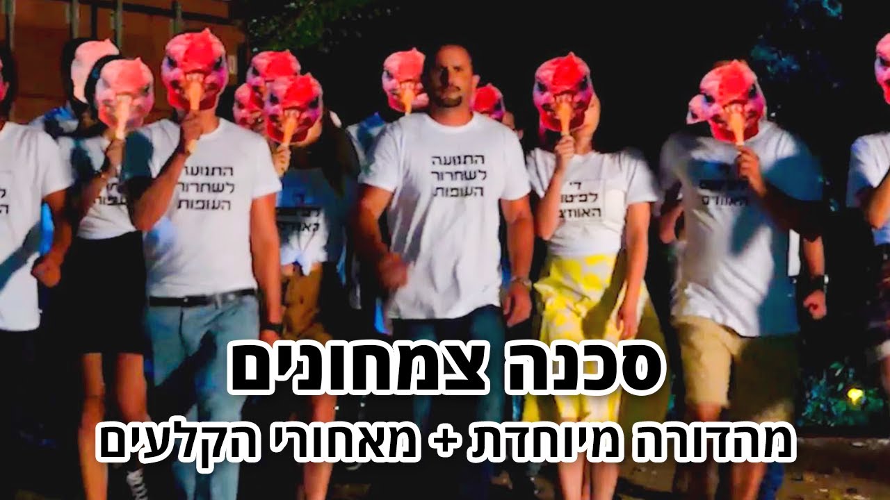 החברים של נאור - סכנה צמחונים - מהדורה מיוחדת + מאחורי הקלעים