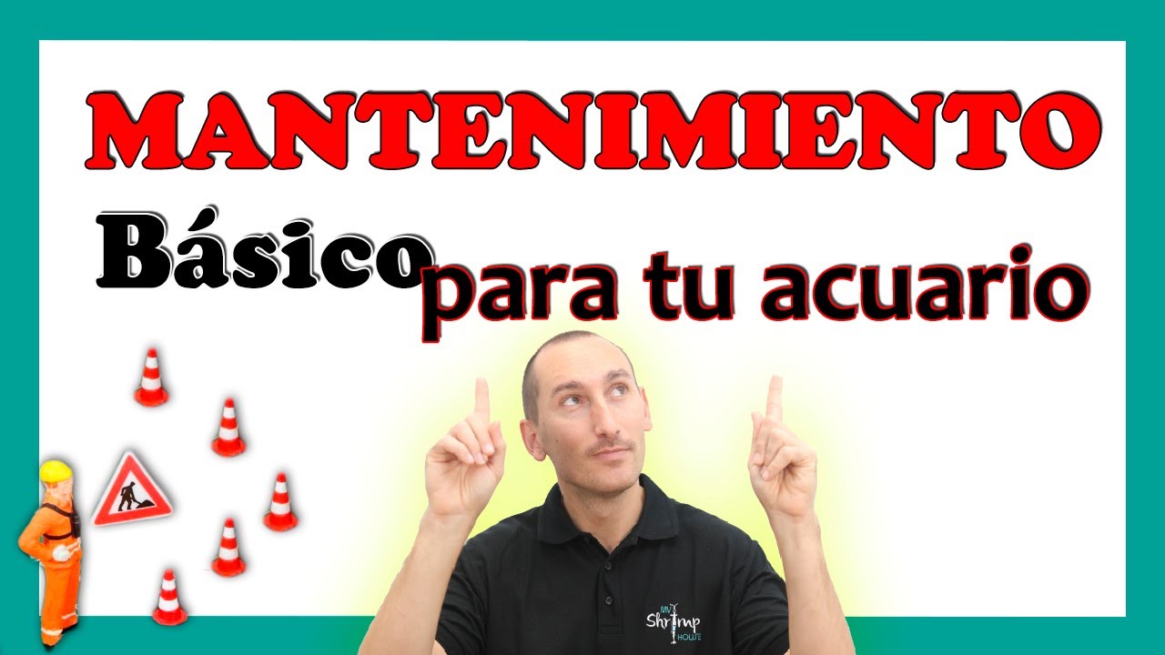 MANTENIMIENTO Básico 🛠  para Un ACUARIO SANO 🌈