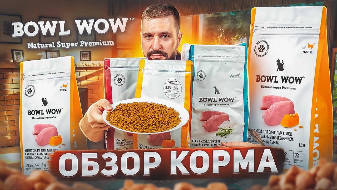 Кошачий сухой корм BOWL WOW | Очень болтливый ОБЗОР КОРМА для кошек