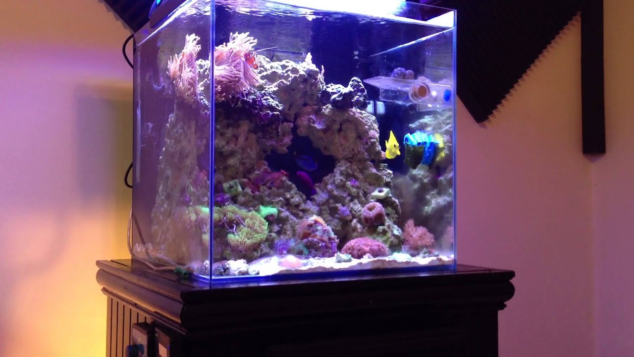 Getting Ready for my 75 Gallon Build
