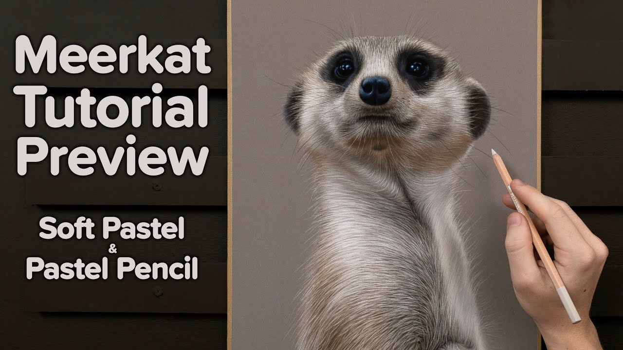 How to Draw Realistic Animals Using Soft Pastels & Pastel Pencils | Meerkat Tutorial Preview
