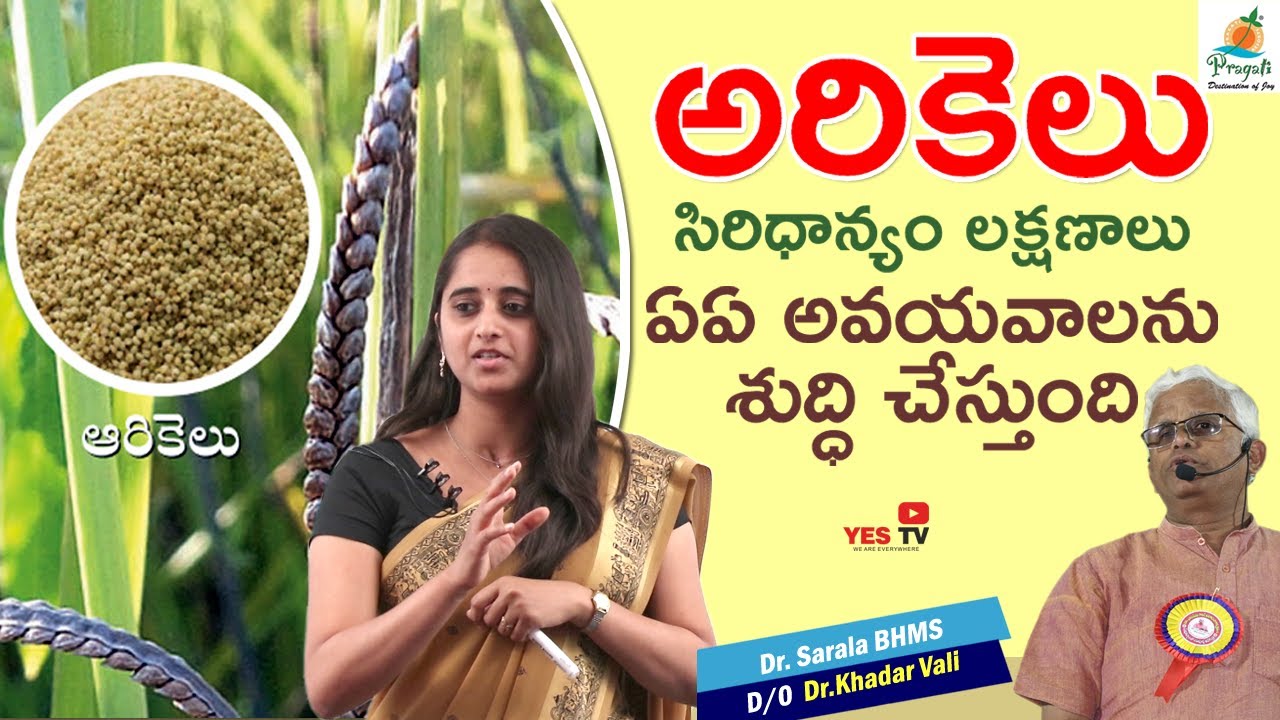 అరికెలు సిరిధాన్యం యొక్క లక్షణాలు ఏఏ అవయవాలను శుద్ధి చేస్తుంది