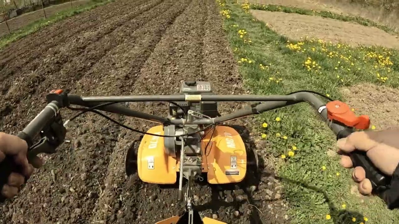 Începem grădinaritul....plantare cartofi in biloane....