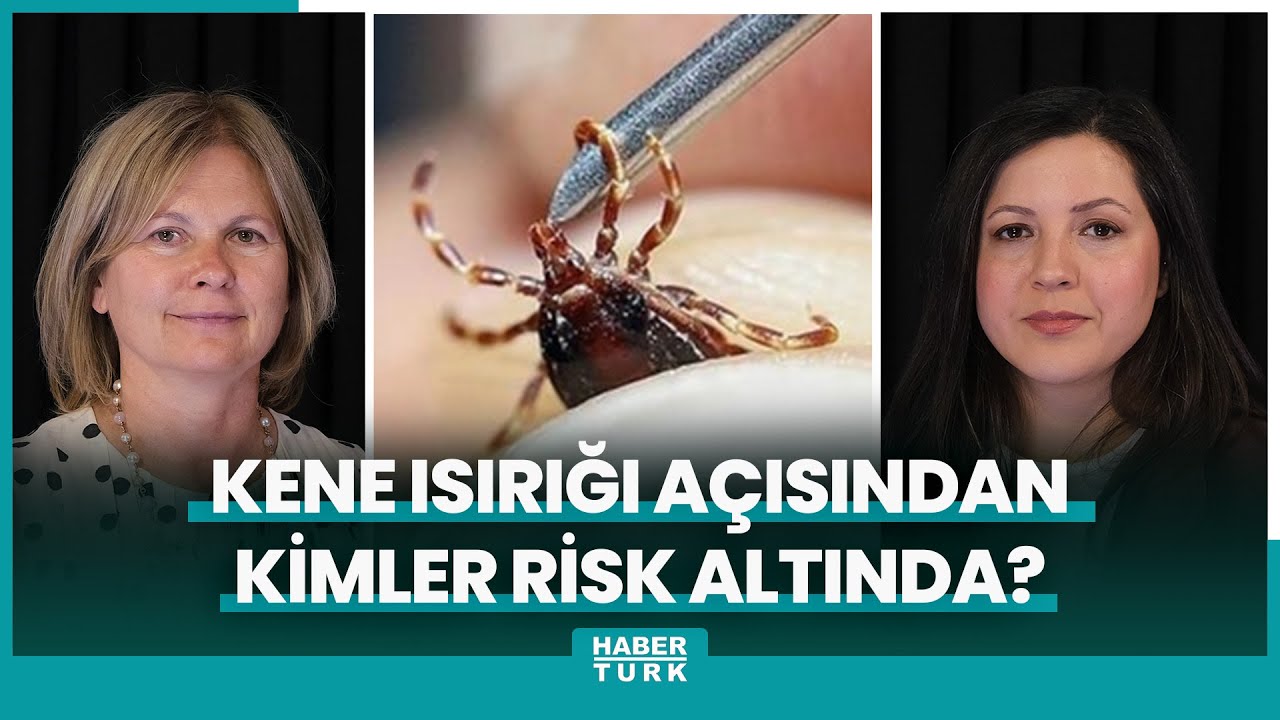 Kene Isırığıyla İlgili Merak Edilenler: Vücuttan Nasıl Çıkarılır? Nelere Dikkat Edilmeli?