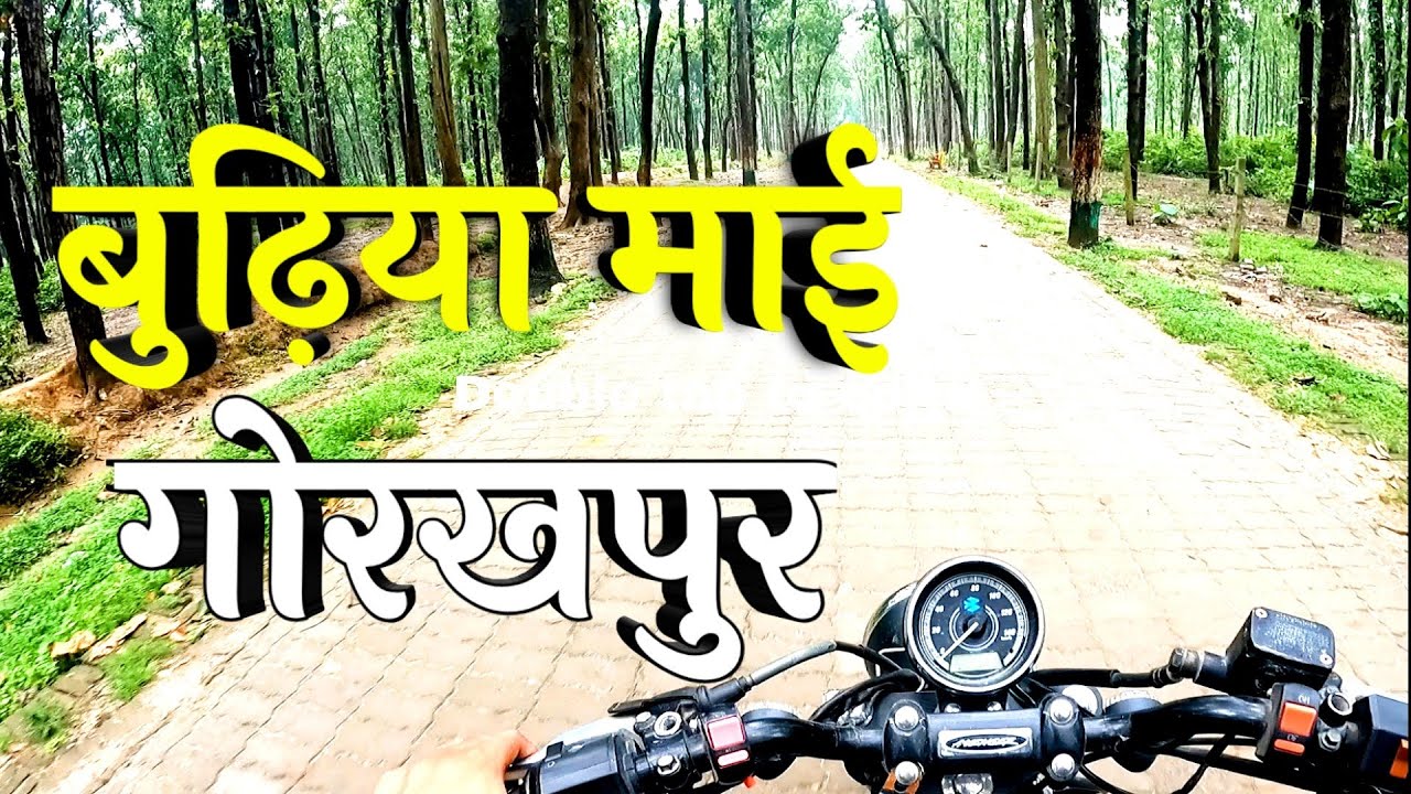 बुढ़िया माई मंदिर दर्शन/Budhiya mai Mandir Gorakhpur/kushmi jangle/Budhiya Mata Darshan