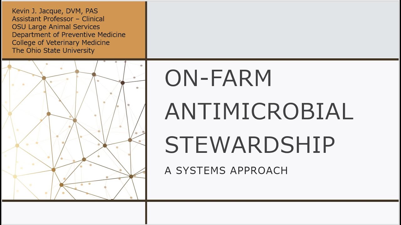 On-Farm Antimicrobial Stewardship: A Systems Approach