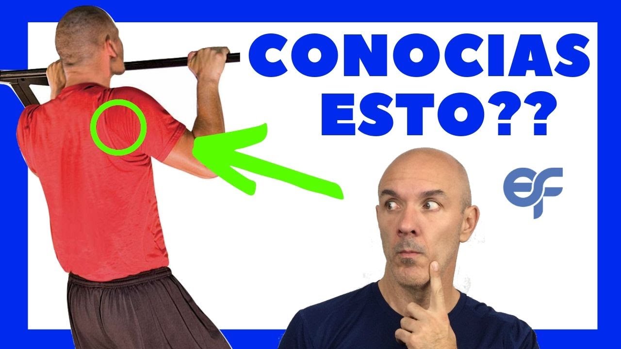 🌀 Entrenamiento DOMINADAS: 5 Hechos que No CONOCES 🤔
