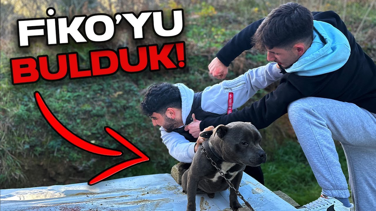 FİKO YAŞIYOR! (kim ka&ccedil;ırdı?)